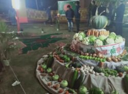 কৃষি মেলা।