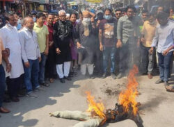 খুলনায় বিএনপির ভাইস-চেয়ারম্যান শামসুজ্জামান দুদুর কুশপুত্তলিকা দাহ করেছে আ’লীগ।