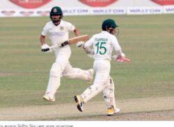 হোয়াইটওয়াশ টাইগাররা