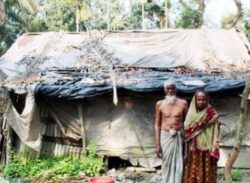 কবে  পাবেন একটু সুখ ঝালকাঠির সেতারা-মালেক দম্পতি