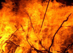 পাটকল ভবনে আগুন : ৬ সদস্যের তদন্ত কমিটি