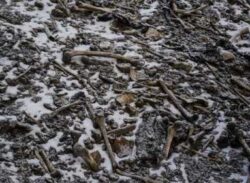 দিশেহারা বিজ্ঞানীরা, রহস্যে ঘেরা কঙ্কালের হ্রদ নিয়ে!