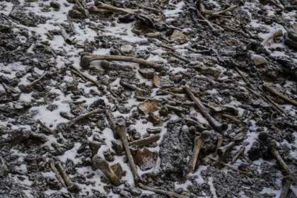 দিশেহারা বিজ্ঞানীরা, রহস্যে ঘেরা কঙ্কালের হ্রদ নিয়ে!