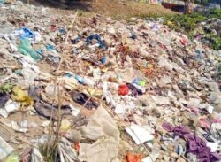 ময়লার ভাগাড় যেন এখন সর্বনাশা পদ্মা!