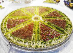 রূপে রূপবতী এক নগর !