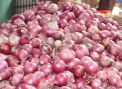 পেঁয়াজের দাম বাড়ল কেজিতে ১০ টাকা