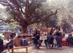 প্রাণ ফিরে পেলো রাজশাহী বিশ্ববিদ্যালয়ের শিক্ষার্থীদের চিরপরিচিত চত্বর।