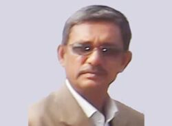 কৃষকের ৩ বিঘা জমির আলু লুট করলেন আ’লীগ নেতা