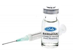 করোনাভাইরাসের কোনো টিকার ট্রায়াল আপাতত হচ্ছে না