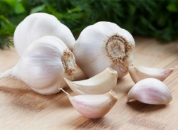 ওজন কমাতে কার্যকর ভূমিকা পালন করে রসুন।