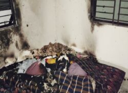 হঠাৎ গ্যাসের লিকেজ থেকে বিস্ফোরণে শিশুসহ দগ্ধ