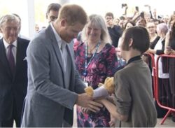 একটি বেসরকারি প্রতিষ্ঠানে চাকরি নিলেন ব্রিটিশ যুবরাজ হ্যারি !