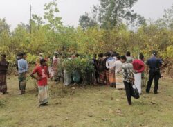 বঙ্গবন্ধু শেখ মুজিব সাফারি পার্কের ভেতরে যুবক হত্যার রহস্য উদঘাটন