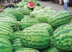 তরমুজ  বাকিতে না দেওয়ায় ব্যবসায়ীকে মেরেই ফেললেন ক্রেতা