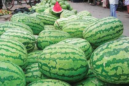 তরমুজ  বাকিতে না দেওয়ায় ব্যবসায়ীকে মেরেই ফেললেন ক্রেতা