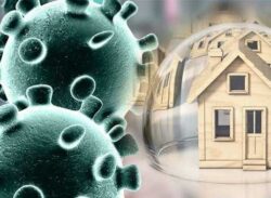 কৌশলে হচ্ছে বেচাকেনা ।