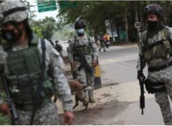 কলম্বিয়ায় সেনাবাহিনী-বিদ্রোহী ফ্রন্টের সংঘর্ষ, নিহত ১৫