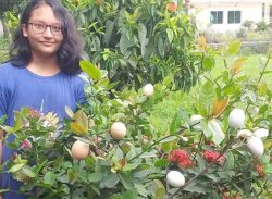 রঙ্গন গাছে ডিম ধরেছে!!