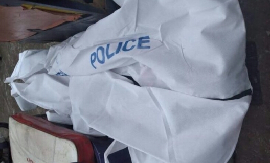 ট্রেনের ধাক্কায় ৩ জন নিহত