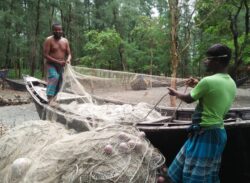 নিষেধাজ্ঞা অমান্য করে ইলিশ শিকার করায় ৪০ হাজার টাকা জরিমানা।।