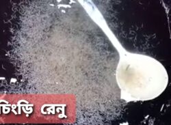 কলাপাড়ায় কোষ্টগার্ডের অভিযানে অবৈধ ২ লাখ চিংড়ি রেনু জব্দ, ৪ ব্যবসায়ী আটক।।