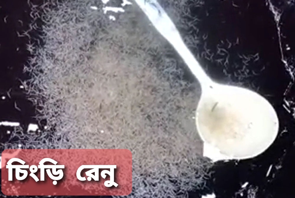 কলাপাড়ায় কোষ্টগার্ডের অভিযানে অবৈধ ২ লাখ চিংড়ি রেনু জব্দ, ৪ ব্যবসায়ী আটক।।