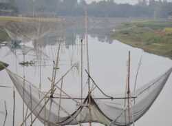 বাগমারায় রাবার ড্যামে সুফল পাচ্ছে কৃষক