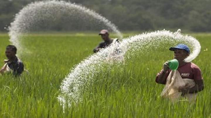 ইউরিয়া সারের দাম কেজিতে ৬ টাকা বাড়িয়ে ২২ টাকা