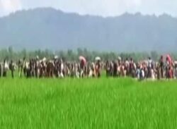 রোহিঙ্গা ঢলের ৫ বছর আজ, বিপাকে বাংলাদেশ
