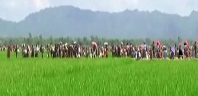 রোহিঙ্গা ঢলের ৫ বছর আজ, বিপাকে বাংলাদেশ