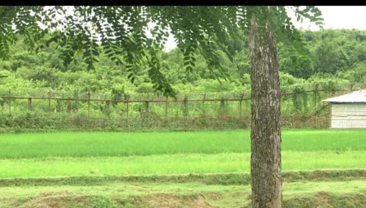 মিয়ানমারের মর্টার হামলায় তুমব্রু সীমান্তে যুবক নিহত, আহত-৫