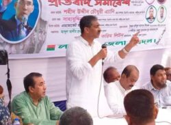 নিশীরাতে ভোট ডাকাতি করে আওয়ামীলীগ ক্ষমতায় বসে আছে…… শহীদ উদ্দীন চৌধুরী এ্যানী