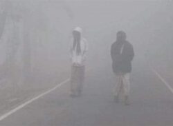 দেশে শৈত্যপ্রবাহের মধ্যেই বৃষ্টির আভাস