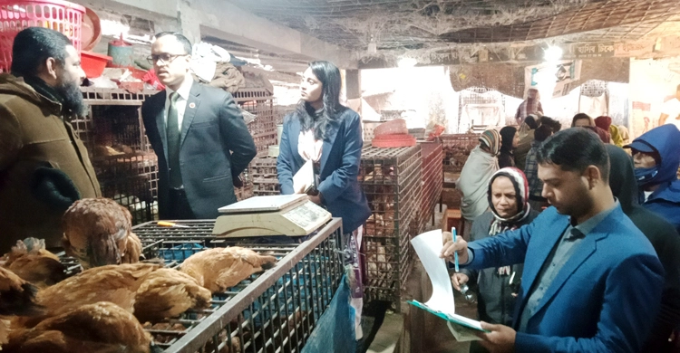 ৫০০ পিস মরা মুরগি জব্দ করেছে ভ্রাম্যমাণ আদালত।