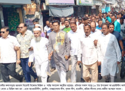 কলাপাড়ায় আওয়ামীলীগ’র বিক্ষোভ মিছিল ও শান্তি সমাবেশ