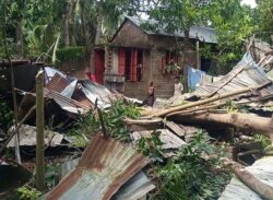 ঘূর্ণিঝড় মিধিলি’ কেড়ে নিলো ৮ প্রাণ