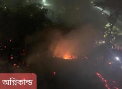 উখিয়ার রোহিঙ্গা ক্যাম্পে অগ্নিকাণ্ডে ৫০টি বসতঘর পুড়ে ছাই