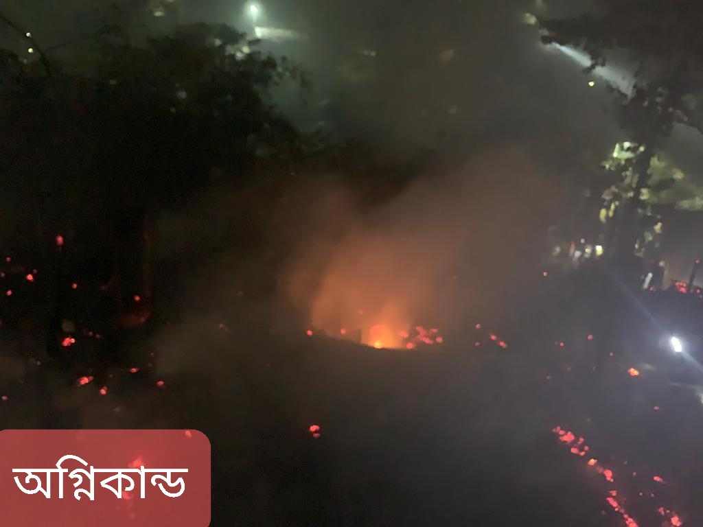 উখিয়ার রোহিঙ্গা ক্যাম্পে অগ্নিকাণ্ডে ৫০টি বসতঘর পুড়ে ছাই