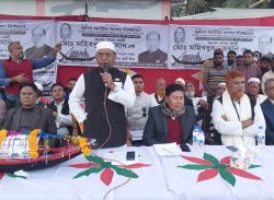 শেখ হাসিনা সকল মানুষের অধিকার নিশ্চিত করেছে