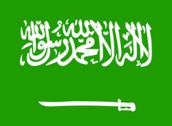 সৌদি আরবে প্রবাসীদের মেয়াদোত্তীর্ণ ভিসার নিষেধাজ্ঞা বাতিল।