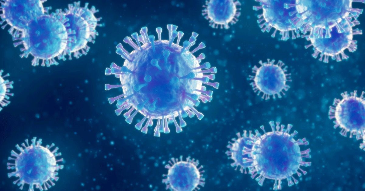 করোনার নতুন ধরন ছড়াচ্ছে দেশে