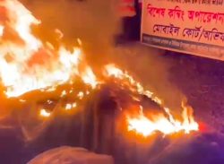 কুয়াকাটায় ৫ লাখ টাকা মূলের অবৈধ জাল পুড়িয়ে দিয়েছে মৎস্য অধিদপ্তর।