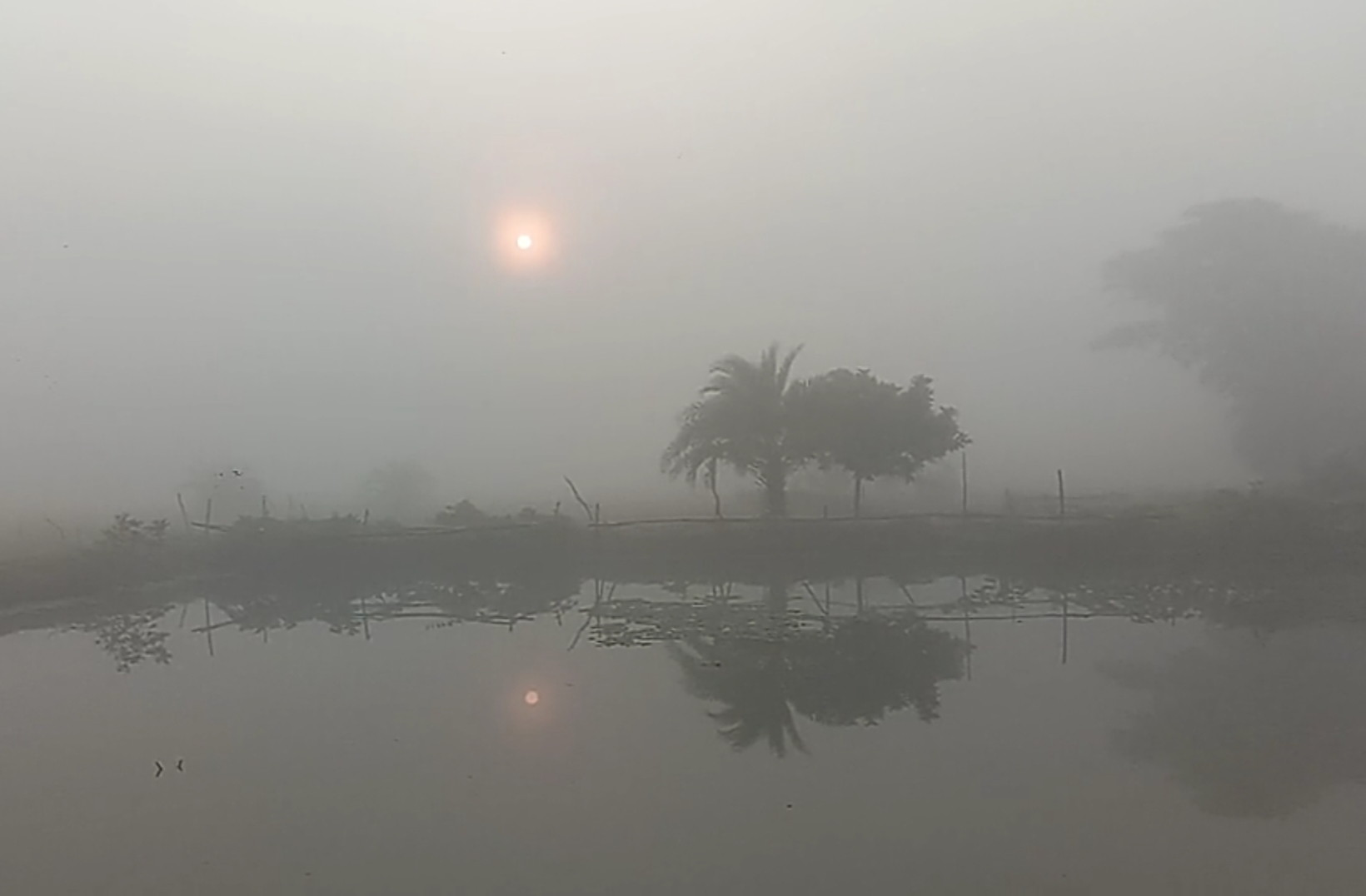 কলাপাড়ায় তীব্র শীত ও হিম বাতাসে দিশেহারা নিম্ন আয়ের মানুষ।