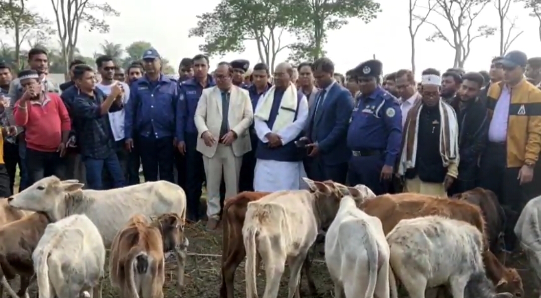 কলাপাড়ায় জেলেদের মাঝে জাল ও গরু বিতরণ।