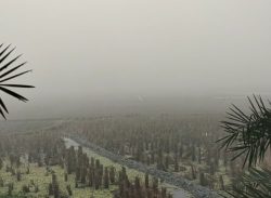 কলাপাড়ায় বিগত ৫ বছরের মধ্যে কলাপাড়া সবচেয়ে বেশি শীত অনুভূত, সর্বনিম্ন ৮.৭ ডিগ্রী সেলসিয়াস তাপামাত্রা রেকর্ড।