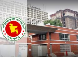 শিগগিরই মন্ত্রিসভায় আরও নতুন মুখ স্থান পাওয়ার সম্ভাবনা রয়েছে