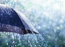 ৪০ জেলায় বৃষ্টির আভাস