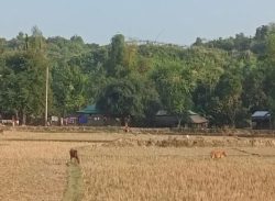 সীমান্তের ওপারে সংঘাত, এপারে আতঙ্ক