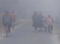 পাবনা-নাটোরে বিদ্যালয় বন্ধ: তীব্র শৈত্যপ্রবাহ