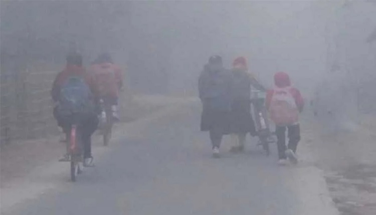 পাবনা-নাটোরে বিদ্যালয় বন্ধ: তীব্র শৈত্যপ্রবাহ